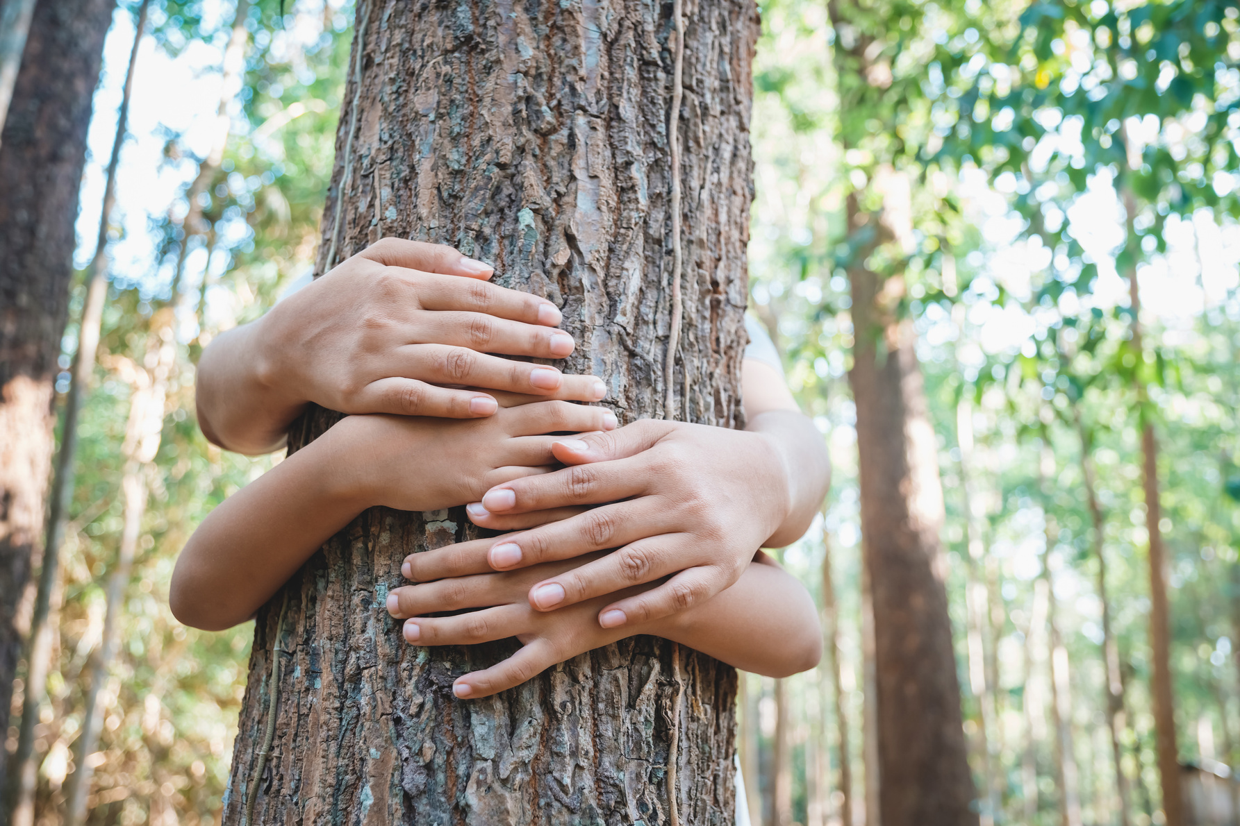 Parent and Child Protect the Tree